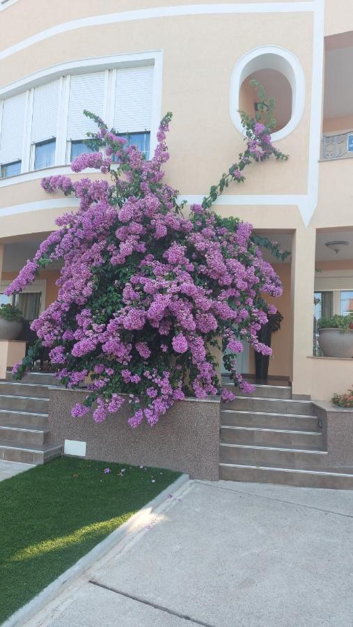 Residence Gordana Selce Εξωτερικό φωτογραφία